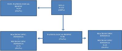 Development of a liver graft assessment expert machine-learning system: when the artificial intelligence helps liver transplant surgeons